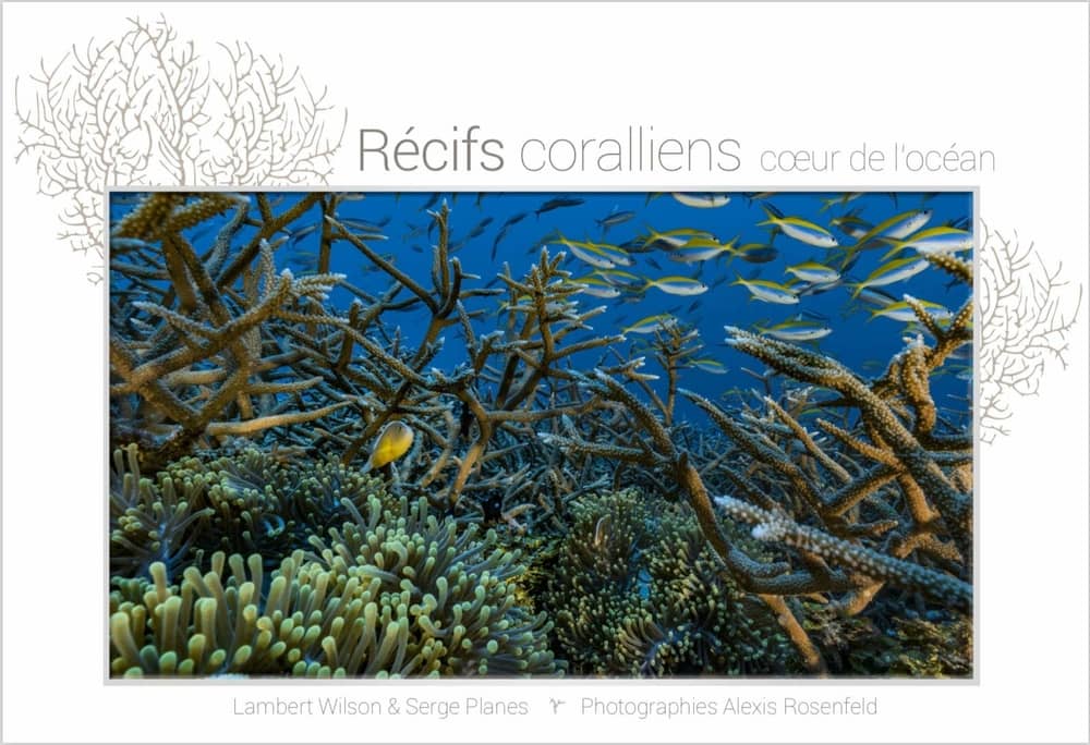 Livre d'Alexis Rosenfeld et Serge Planes : Récifs coralliens, cœur de l'océan